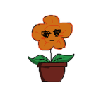 POP FLOWER