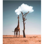 GiraffeSquad