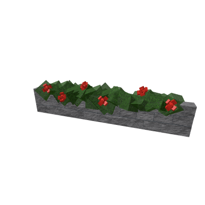 Stone wall and Rose Plants