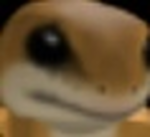 :3Gecko Gang>:D