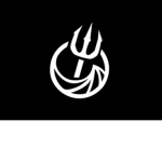 Trident Private Contracting