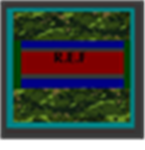 R.E.F MACHINE GUNNERS