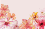 ~Lovely blossoms~