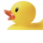 duck lord fan club