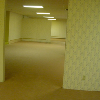 backrooms (UPDATED)