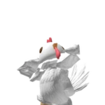 KaiPuNe