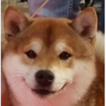 Captaaa
