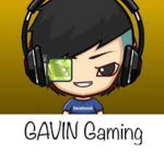 GavinGaming studio