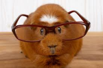 #team tygo