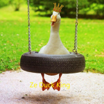 Ze duck king