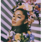 ~•Arianators•~