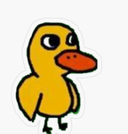 United Quack of Ducks