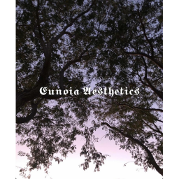 Eunoia Aesthetics*:･ﾟ*