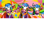 Colorful Cows !