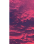 ༻∘รωεεт_ƒ૨εรα∘༺