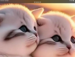 Kitty love always