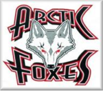 Vancouver Arctic Foxes