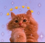 the preppest cats on roblox