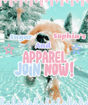 Sugar & Sophia’s Apparel