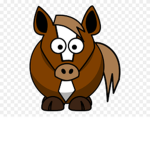 raccoon pou