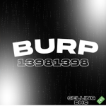 burp dhc