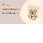 *Rare Usernames*