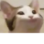Da Popcat Army