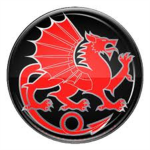 Red Dragon Skate Club