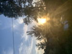 One good sunset