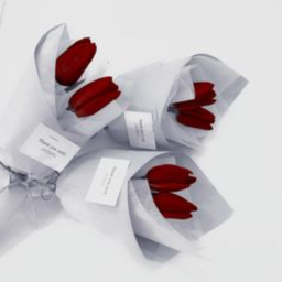 ୧˚. 🌹 ⋅ ☆