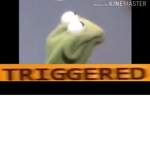 Hayden 385