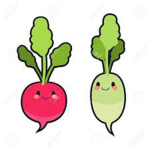 Radish studios!