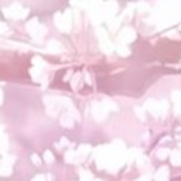 ♡
