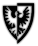 Order of the Black Falcon Knights