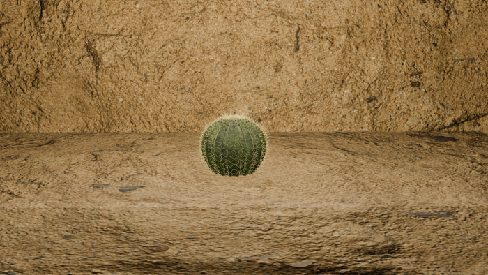 CactusPack preview 4