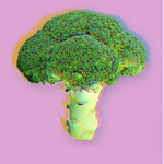 The Broccoli Squad!!!