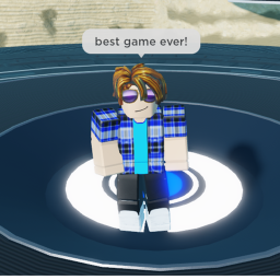 The Concert Experience