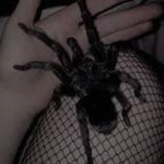 LASTWISH