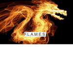 F.L.A.M.E.S.
