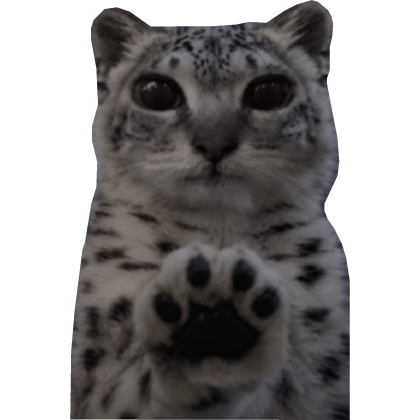 meimei paws at you snow leopard cat meme