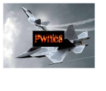 Pwnies Air Force!