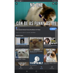 Catlover101056