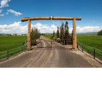 Country Boys Haven