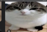 Huggy here is coming for you
