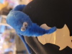 Worm on string fangroup