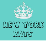 NY Rats
