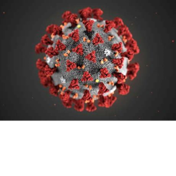 Ro-Bios obby