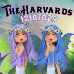 Harvard DropOut’s ୨୧