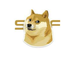 Cosmic doges HR