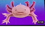 Only ppl who like Axolotls